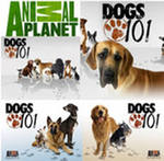 Введение в собаковедение 101 Dogs Часть 11